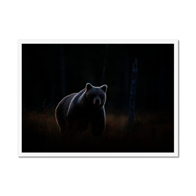 In The Shadows Framed Print