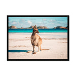 Beach Hopper Framed Print