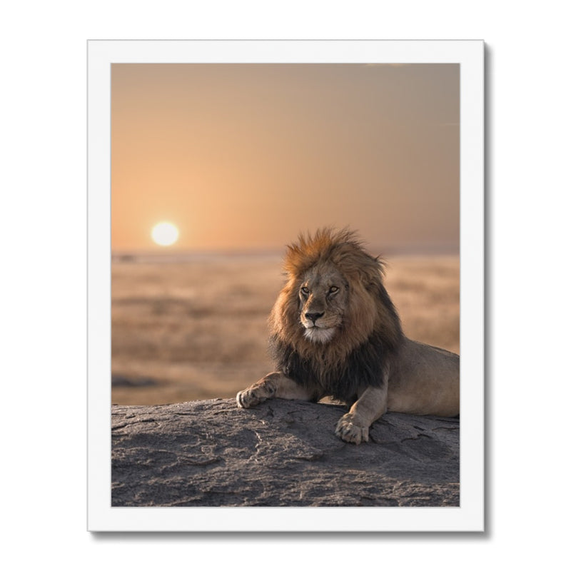 Calm Sun  Framed Print