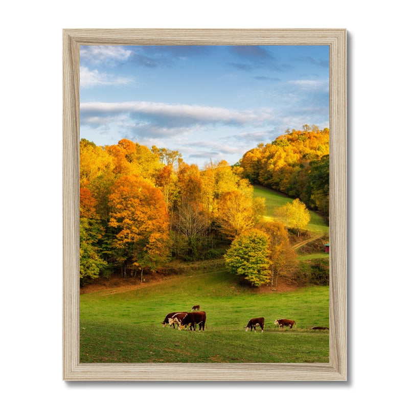 Autumn Appalachian Framed Print