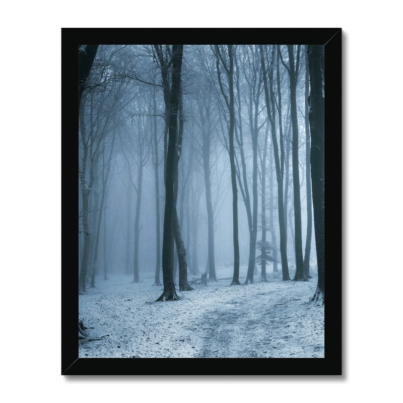 Dark Holt Framed Print