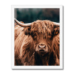 Highland Fur Framed Print