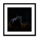 In The Shadows Framed & Mounted Print