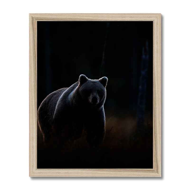 In The Shadows Framed Print